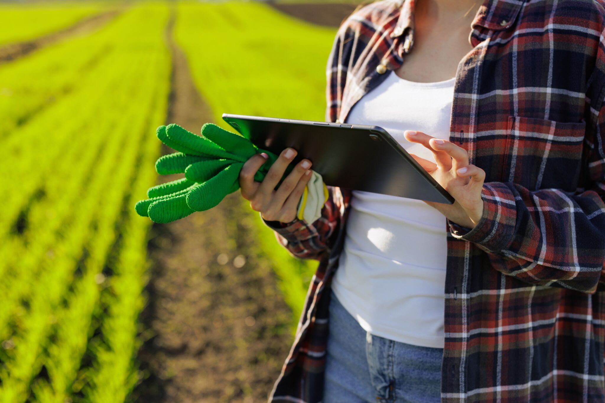 agronegócio brasileiro blog green place produtora agrícola conferindo dados no tablet